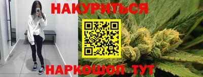 прущие крисы Гатчина