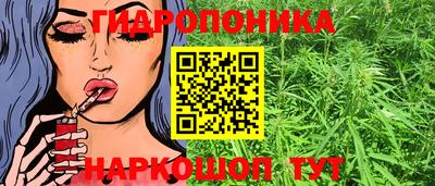 шишки Апшеронск