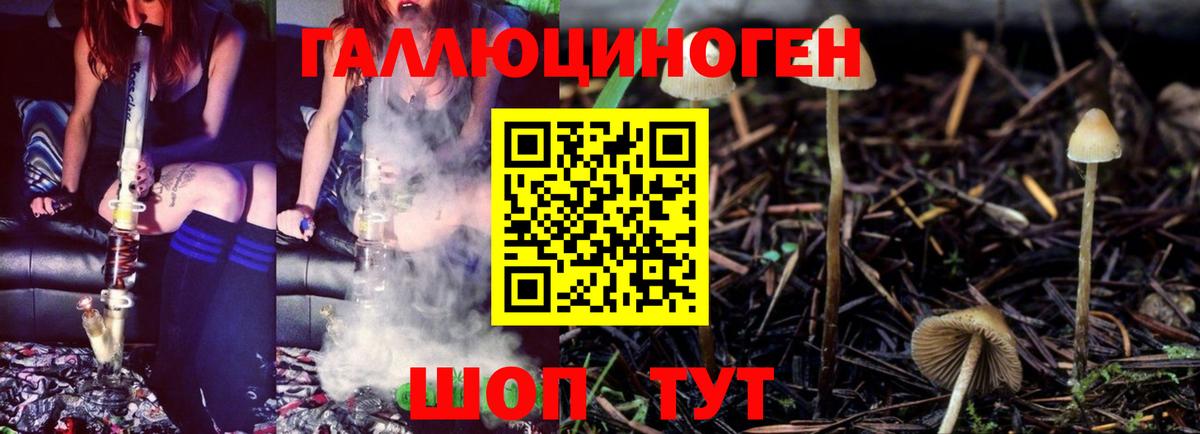 Галлюциногенные грибы Psilocybe  Вход с VPN  Великий Устюг 